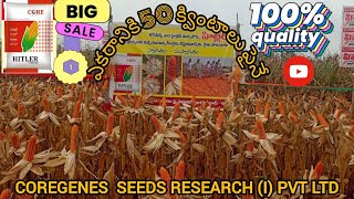 ఎకరానికి 50 క్వింటాల పైనే @Coreseeds46