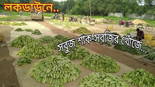 সবুজ শাক-সবজির সন্ধানে ll Vegetables Market ll