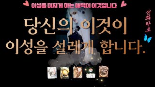 [타로/매력💗] 당신의 이 부분 때문에 이성이 설렙니다🧚‍♀️🧞‍♂️