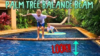 Palm Tree Balance Beam - Who Falls Off First??