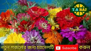 Islamic song 2018   Bangla Best Gojol   bangla new gojol 2018   Ainuddin Al Azad