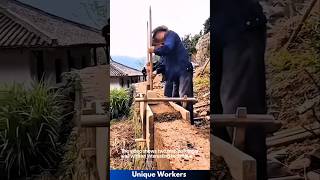 Traditional wall building techniques - The workers do their job perfectly || #machine #shorts