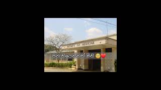 Faculty of Medicine, University od Peradeniya ❤️❤️  #university #education #motivation