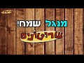 המעצבן מהמנגל