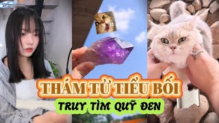 Tổng Hợp Thám Tử Tiểu Bối Truy Tìm Kho Báu Và Quỹ Đen Phần 11 - Thông Minh Đáng Yêu | Tony Reviews