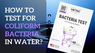 Coliform Bacteria Test Kit - How to Test For Coliform Bacteria in Water (2019)
