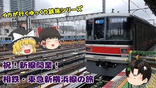 【イカが行くゆっくり鉄旅シリーズ】第6回 祝！新線開業！相鉄・東急新横浜線の旅