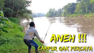 Tetap umpan tiren sungai Brantas ,,spot aneh ikannya kayak siluman 😭