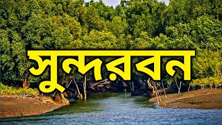 A Day in Sundarban | Sundarban Boat Safari in a Rainy Day | Whole Day Boat Safari in Sundarban