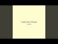 Fragile Silver Whisper