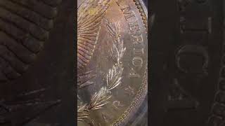 Toned Spotlight: 1904-O Morgan Silver Dollar PCGS MS63 “Sun Stripes”