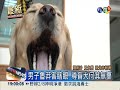 丟鞋打瞎導盲犬 男子被起訴