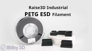 Raise3D PETG ESD Industrial Filament