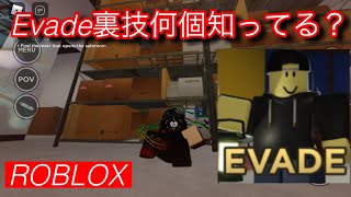 Evadeの裏技知ってる？(roblox)(Evade)