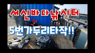 서신바다낚시터 5번가두리타작!!