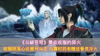 《斗破苍穹》萧炎收服的异火：陨落心炎晋升斗王，斗圣夺净莲妖火