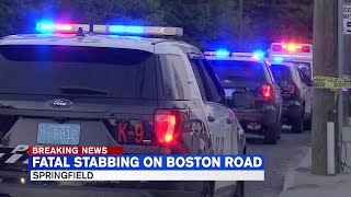 Springfield Police investigating fatal stabbing on Boston Rd.