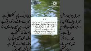 Husband wife quotes in urdu|best quotes| Urdu poetry #shortvideo