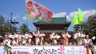 京都山城みつば家　京都さくらよさこい2017 神宮道２日目（広角）