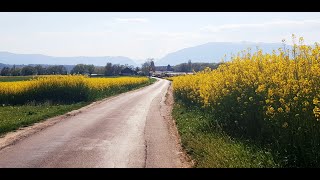 A drive through the countryside of Geneva