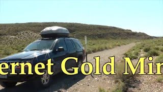 Internet Gold Miner - Episode #1