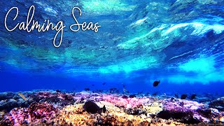 Calming Seas | Ocean Waves | Nature Sounds | Underwater | Relaxation | Meditation | Sleep | 0003