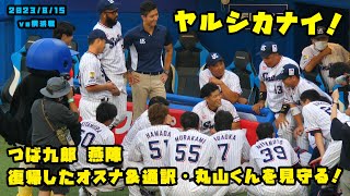 つば九郎　燕陣は復帰したオスナ選手＆通訳は丸山くんを見守る！！　2023/8/15 vs横浜