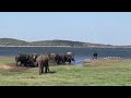 අලින්ටත් හොදටම අව්ව සැර දැනිලා elephant gathering inthe lake side