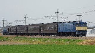 EF64 37 EF65 501 両毛団臨 2019.4.21