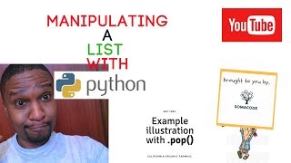 Exploring Python Lists: Using the pop() Method - Quick Example