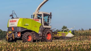 Chopping corn with Claas Jaguar 870 / Poppink Reutum / 2021