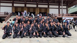 2023.4.15 成田太鼓祭り成田小学大アリーナ　武蔵越生和太鼓部青龍36.37代目