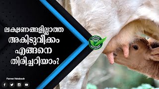 ലക്ഷണങ്ങളില്ലാത്ത അകിടുവീക്കം എങ്ങനെ തിരിച്ചറിയാം @farmernotebook860