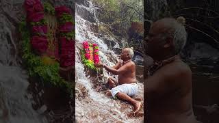 Tirumala therthalu#tirumalahills #tirumala #govindaa #lordbalaji #waterfall #explore #trending #yt