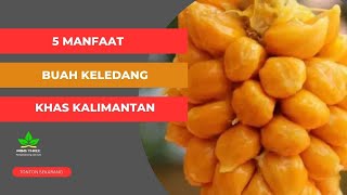 Manfaat Buah Keledang Khas Kalimantan