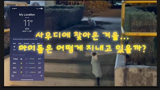 사우디 ep 168] 추위가 찾아온 사우디 아라비아. 길고양이들은 잘 지내고 있을까요? (사우디에서 오늘 새벼에 보낸 여섯번째 소식)