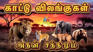 Wild Animals Name in Tamil with Real Animal Sounds