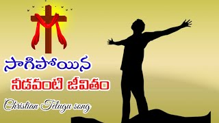 సాగిపోయిన నీడ వంటి జీవితం || song by v. ravikumar