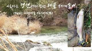 4K I 아름다운 정선에서 만난 대물 무지개송어