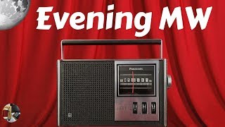 Panasonic R-1551 Classic AM  Radio Evening MW