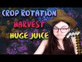 Crop Rotation Harvest Guide [PoE 3.22]