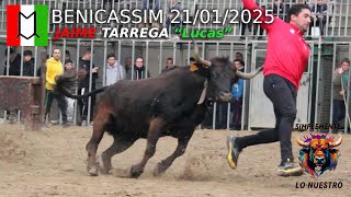 BENICASSIM TARDE DE JAIME TARREGA “LUCAS” 21.1.25