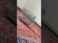 صدای سهره خوش دهن سهره سره قناری بلبل بلابل طرقه جل طریقه طوطی عروس کوتوله کاسکو ملنگو پرنده سخنگو