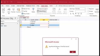 Age Validation in MS Access Made Easy