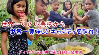 野生のドリアンを採取してドリアンキャンディーを作ってみたら最高に美味かった！【フィリピンの山奥で猫と自給自足生活】