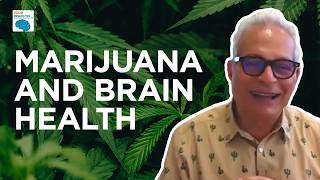 Your brain on marijuana: the benefits and risks (with Dr. Daniele Piomelli)