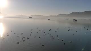 Anasagar Lake - Ajmer