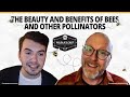 What’s buzzing with pollinator conservation? How bees and insects benefit habitats and ecosystems.