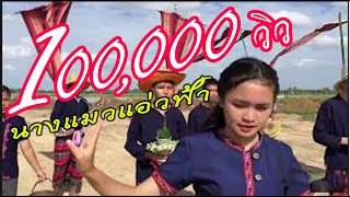 MVนางแมวแอ่วฟ้า - ผลงานนักเรียนโรงเรียนร่องคำ ชั้น ม.5/6