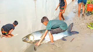 নদীতে গড়াজালে ছোট ছেলেরা এত বড় রুই মাছ কিভাবে শিকার করল?Big Rui caught fish in Garazal